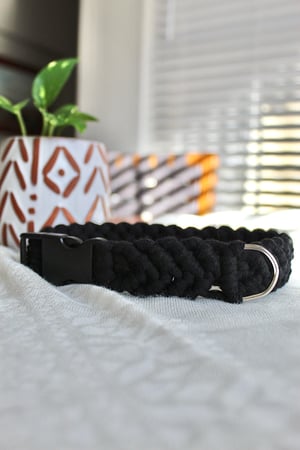 Image of Large Dog Collar