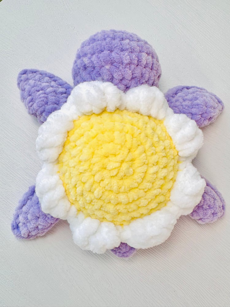 Image of flower turtle preorder