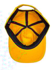 Image 5 of NFA SQUASH