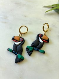 Image 4 of Toucans