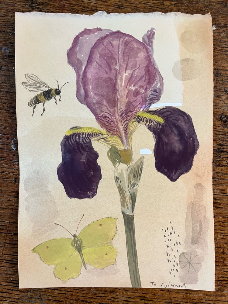 Image of Iris, brimstone and solitary bee. 