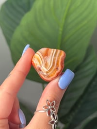 Image 2 of TUMBLED AGATE #39 -MALAWI-
