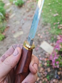 Image 3 of carbon hunter 