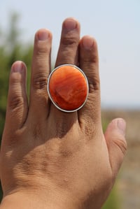 Image 5 of Orange Spiny Oyster Ring