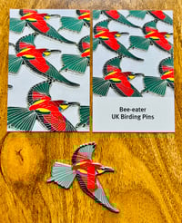 Image 1 of Bee-eater - Large - Pin Badge/Brooch/Magnet