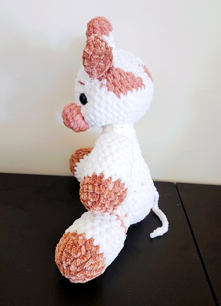 Image of Baby Giraffe
