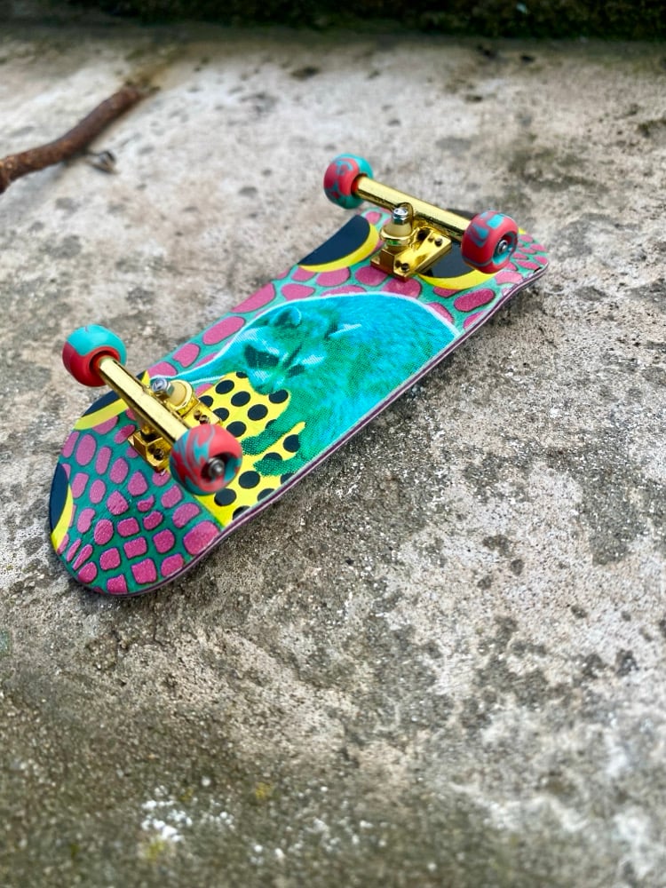 Image of raccoon popsicle36mm complete