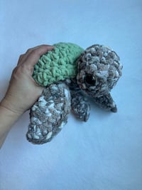 Image 3 of turtles 