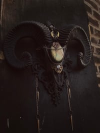 Image 3 of Ram skull with labradorite 