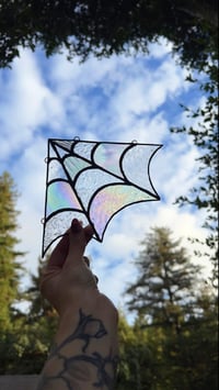 Image 1 of Iridescent Corner Spider Web 