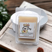 Image 1 of Spa Day Wax Melt