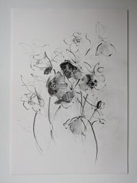 Hellebores VII