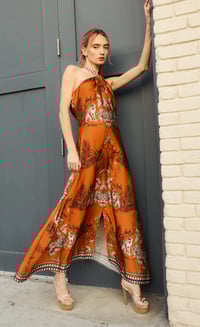 Image 1 of Monkey Print Maxi 