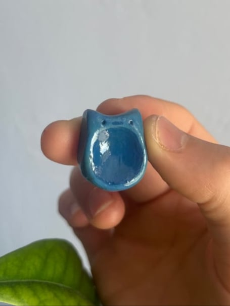 Bean Image 3