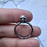 Image 1 of Moon Skull
