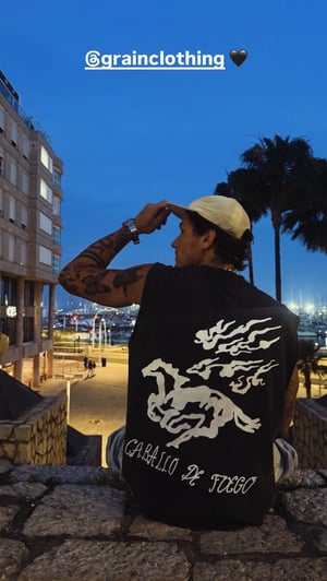 Camiseta Caballo de fuego. 