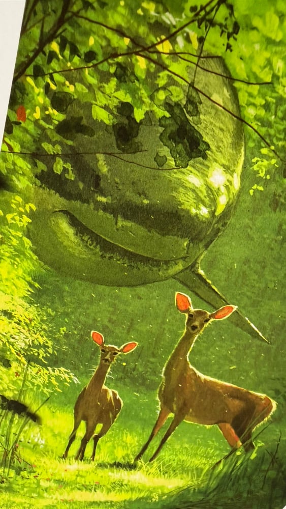 Image of -courageous wandering- (limited print) 