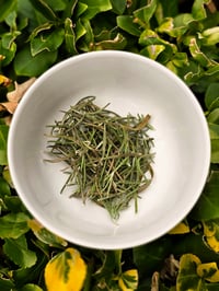 Dried Rosemary