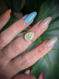 Image 2 of Bluebell Pearl