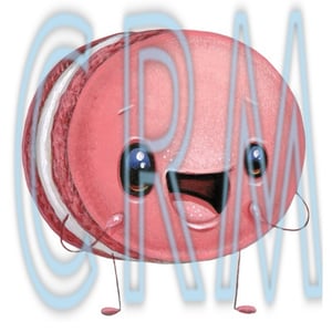 Image of Pastries 2 Tubes