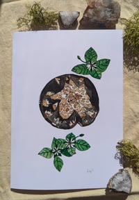 Image 1 of Coprinus calyptratus