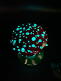 Glow in the Dark Mushroom Paperweight