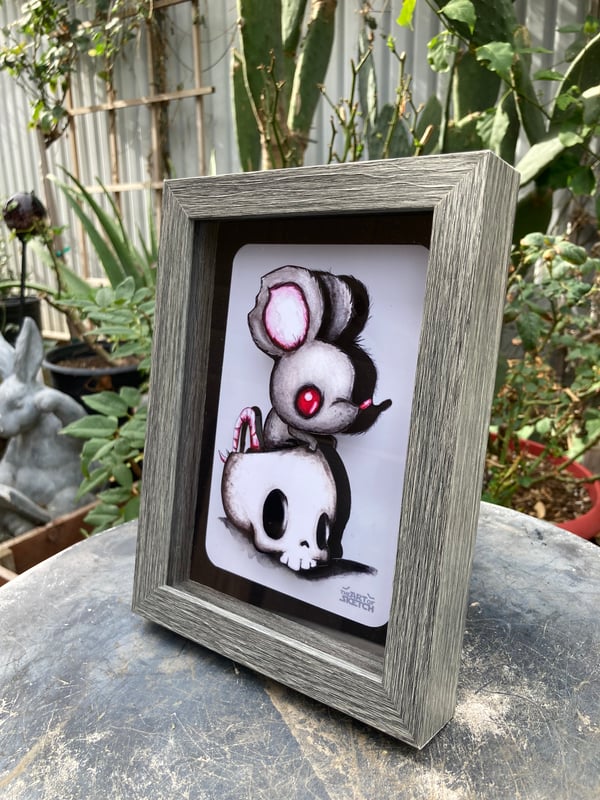 Image of “Rat in Skull” shadow box