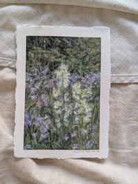 Bluebells ii