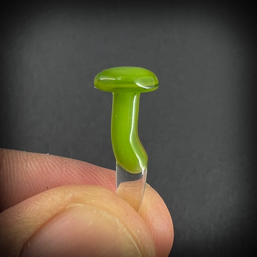 Image of Mini Lime Green Mushroom Plant Spike