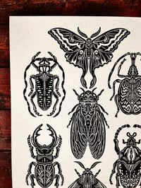 Image 3 of Bug Print 