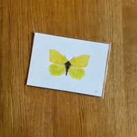 Image 2 of Butterfly Print #1 - Various Designs