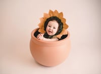 Image 2 of New edition Sunflower bonnet