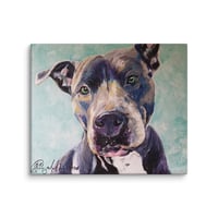 Image 3 of Smiling Blue Pitbull