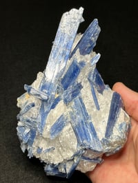 Image 1 of Blue Kyanite & Quartz Specimen #2449