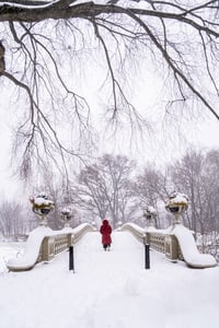 Image 3 of Lady in Red 