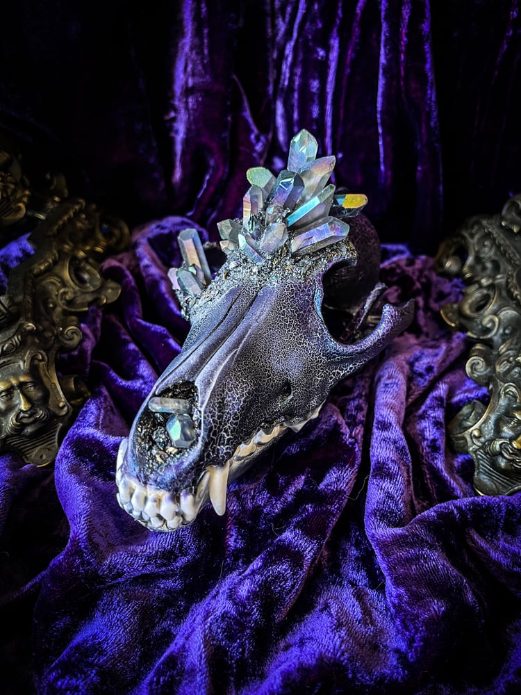 Image of Grey Rainbow Aura Quartz & Carborundum- Coyote Skull