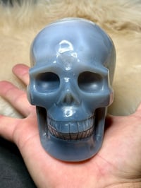 Image 3 of Agate Skull Carving #2242