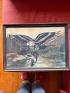 eagle catch vintage photo 