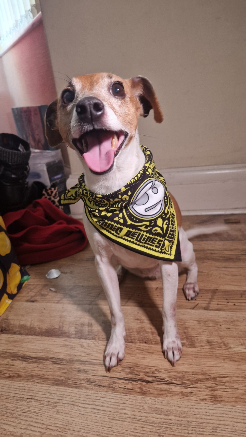 Blind Panic Devices Yellow Bandana