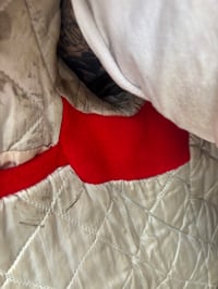 Image 19 of WARBIRTH COAT