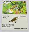 Red-eyed Vireo - September 2021 - UK Birding - Enamel Pin Badge