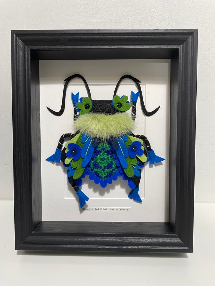 Image of Mint-frilled Cobalt Cariad Beetle