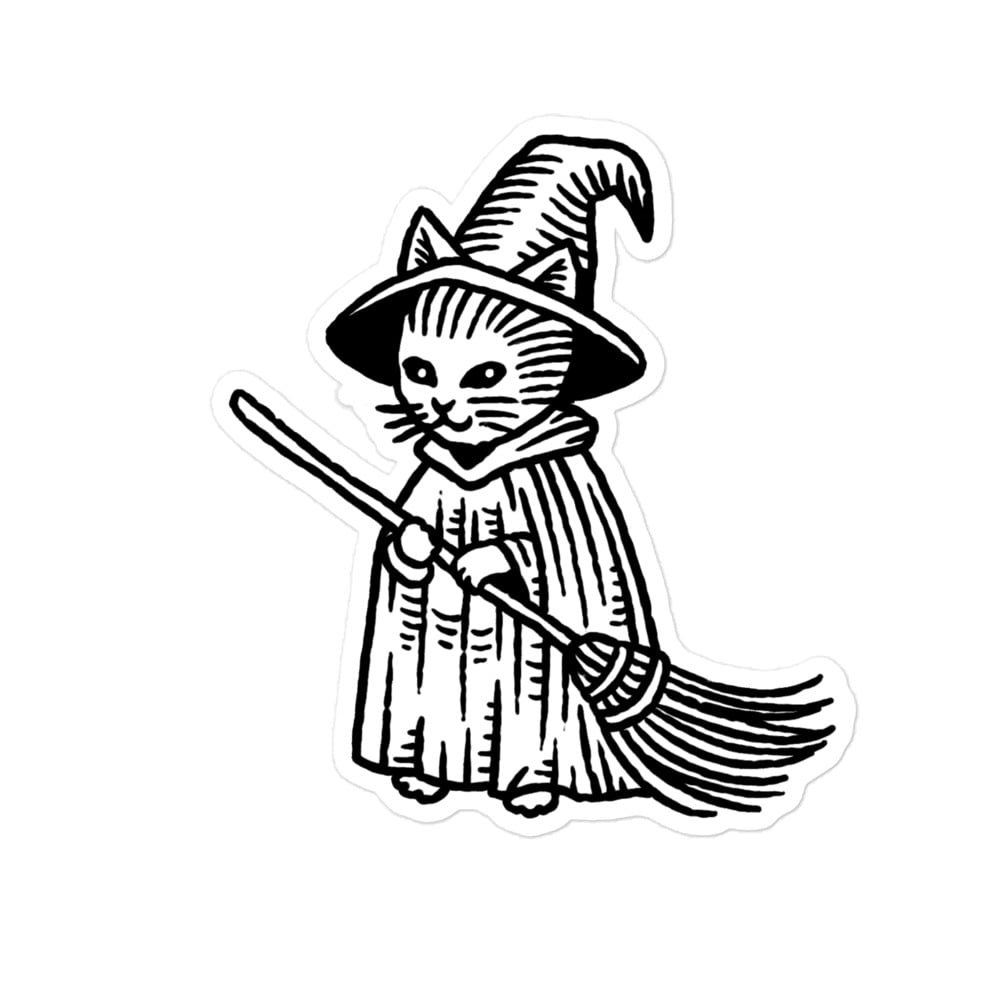 Image of Cat witch