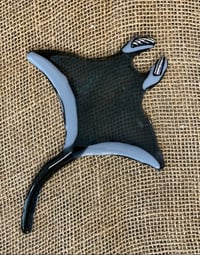 Image 4 of Manta Ray