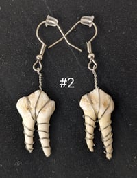 Image 2 of Small Deer Molar Earrings