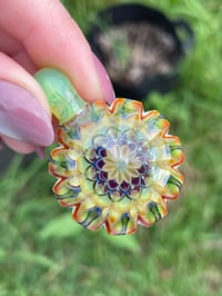 Image 2 of Snapdragon