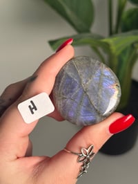 Image 8 of FULL FLASH DOUBLE SIDED LABRADORITE PALM STONES