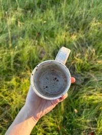 Image 10 of Western pony + cattle dog speckled white