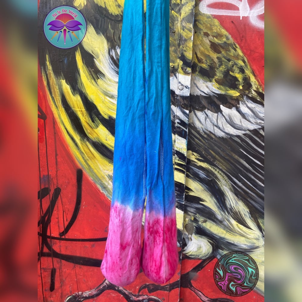 Image of Parrotfish Handdyed Poi