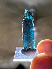 Image 2 of Ocean Kyanite Harts Range Australia #2556